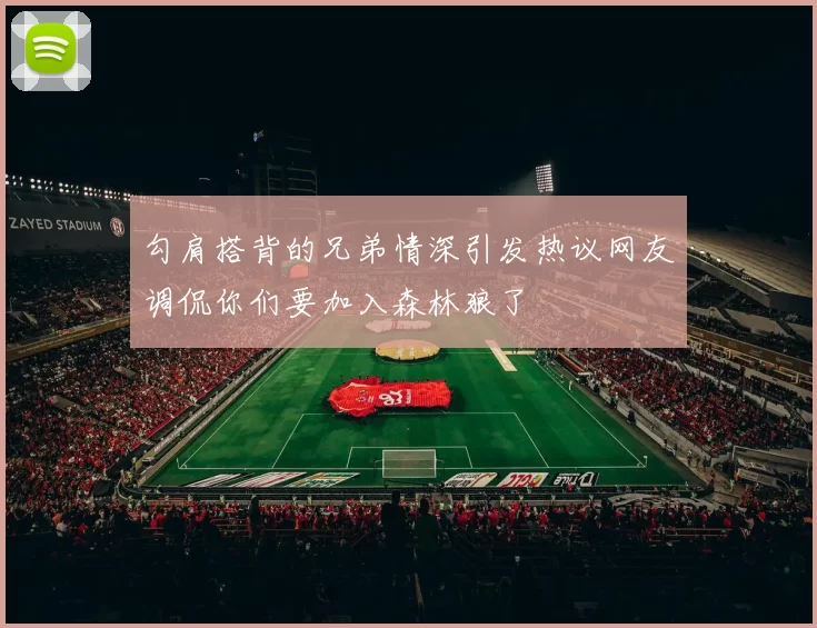 勾肩搭背的兄弟情深引发热议网友调侃你们要加入森林狼了