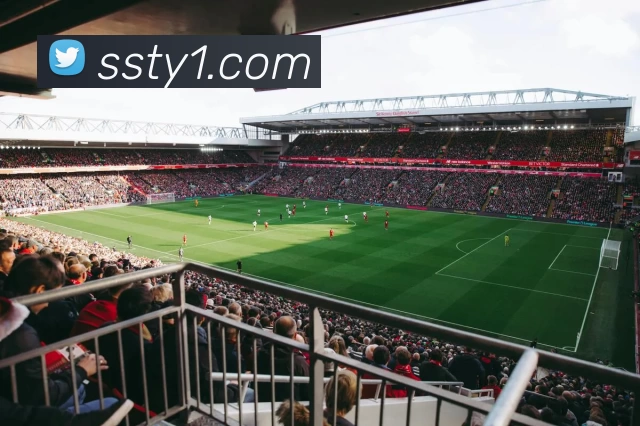 盛世体育发展历程